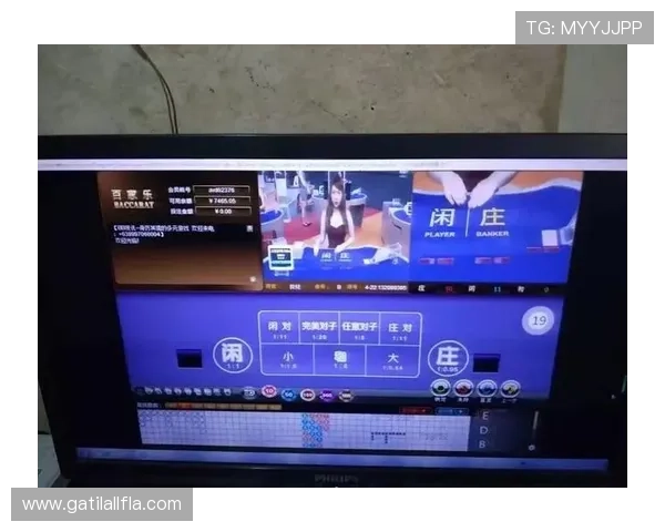 网上百家乐游戏中的奖金制度与奖励机制详解帮助你赢得更多